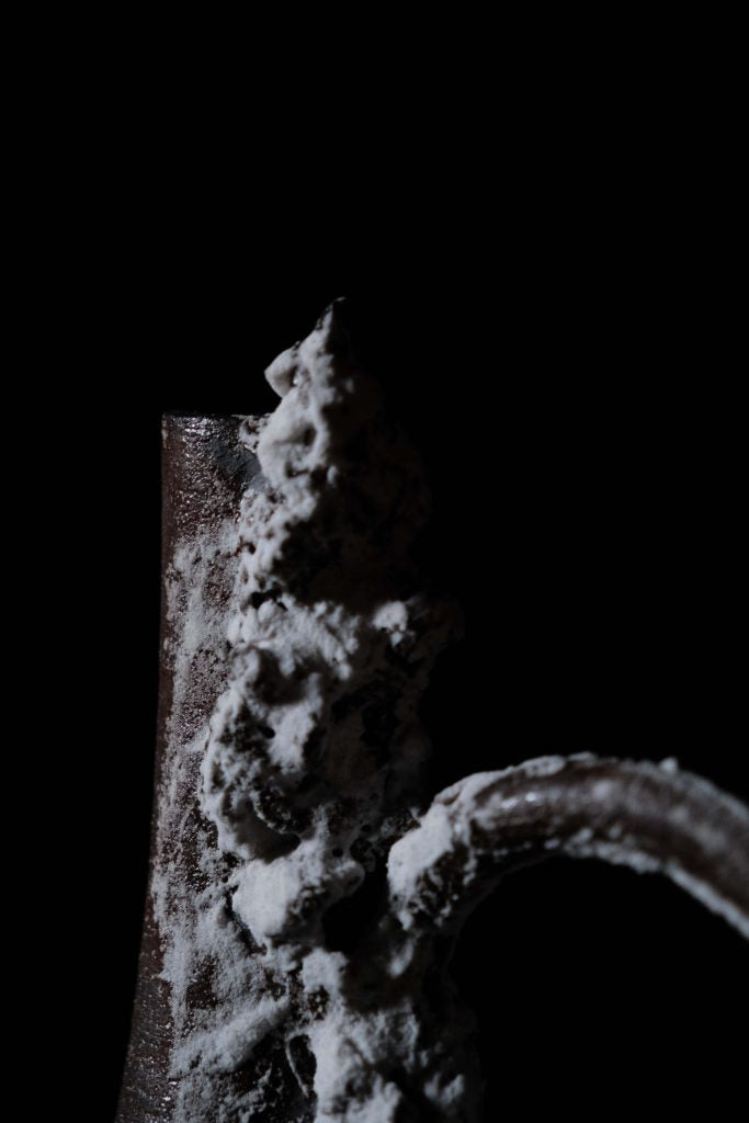 Transmutation vase 5