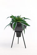 Comet tripod pot - Reversible